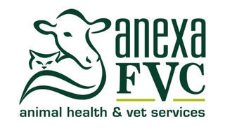 Anexa FVC