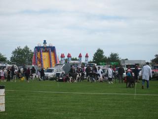 The first show 2008